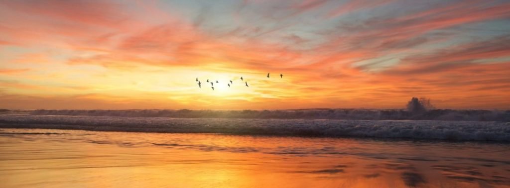 escuela europea de terapia gestalt amanecer